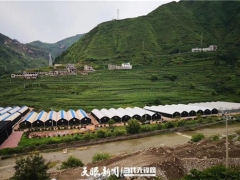 探秘！食用菌發(fā)展中的菌農(nóng)期待與產(chǎn)業(yè)鏈回應(yīng) ()