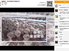 新技術(shù) 新格局 新形式：國鑫裝備·2020中國香菇產(chǎn)業(yè)網(wǎng)絡(luò)大會圓滿召開 ()
