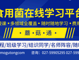 蘑菇通：搭建線上學習平臺 提升食用菌專業(yè)技能 ()