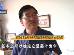 “墻角長蘑菇嚇哭女業(yè)主”后續(xù)：國家級菌菇專家?guī)阕呓茖W ()