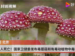 已造成6人死亡！國(guó)家衛(wèi)健委發(fā)布毒蘑菇和有毒動(dòng)植物中毒提示 ()