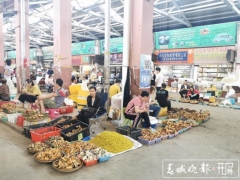 為菌瘋狂的時(shí)候到了！昆明野生菌大量上市 干巴菌最低300元/公斤 ()