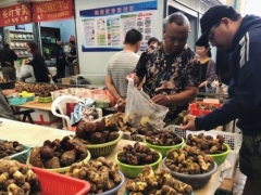 云南野生菌大量上市，松茸、雞樅供不應(yīng)求！中毒現(xiàn)象也層出不窮 ()