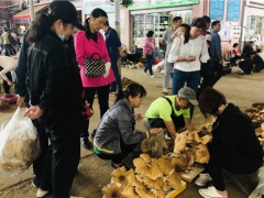吃菌要抓緊，快落潮啦！昆明野生菌價(jià)格上漲 雞樅干巴菌最多 ()