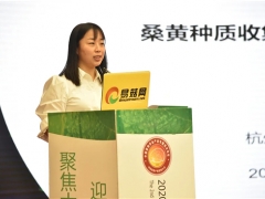 宋吉玲：應加強現(xiàn)有桑黃資源保護 探索適合我國桑黃品種的栽培基質(zhì) ()