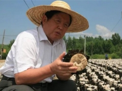 “蘑菇院士”李玉：食用菌強(qiáng)國不是夢(mèng) ()