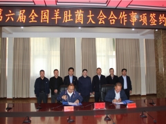 易菇網(wǎng)與舟曲縣就2021第六屆全國羊肚菌大會有關事項簽訂合作協(xié)議 ()