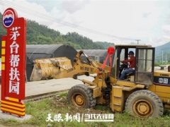捐贈(zèng)100萬(wàn)元擴(kuò)建10個(gè)食用菌大棚！道真這個(gè)茅臺(tái)幫扶園多了四川經(jīng)銷(xiāo)商的愛(ài)心力量 ()