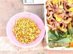 云南：文山又有兩種野生菌上市！價(jià)格驚人！ ()