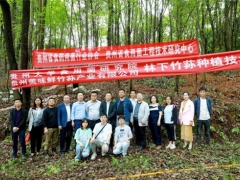 專家助力，貴陽市順海林場(chǎng)岔二巖林下紅托竹蓀種植基地成功開展種植技術(shù)培訓(xùn)會(huì) ()
