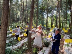 江西廣昌小蘑菇 樟樹(shù)林里放光彩 ()