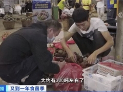 又到吃菌季！云南野生菌每天上市300多噸，當(dāng)?shù)匦l(wèi)健委發(fā)預(yù)警：謹(jǐn)防中毒！哪些菌子不能吃？ ()