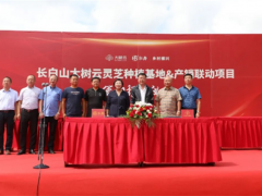 吉林磐石：取柴河鎮(zhèn)舉行長白山大樹云靈芝種植基地產(chǎn)銷聯(lián)動項(xiàng)目簽約揭牌儀式 ()
