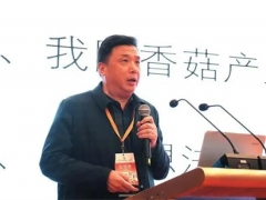 邊銀丙：香菇產(chǎn)業(yè)“三駕馬車”失去動(dòng)力 如何化險(xiǎn)為夷？ ()