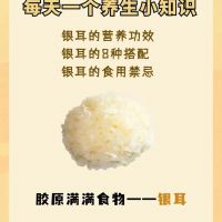 美食行天下 銀耳進(jìn)萬(wàn)家 雪菲寵耳銀耳 健康營(yíng)養(yǎng)搭配